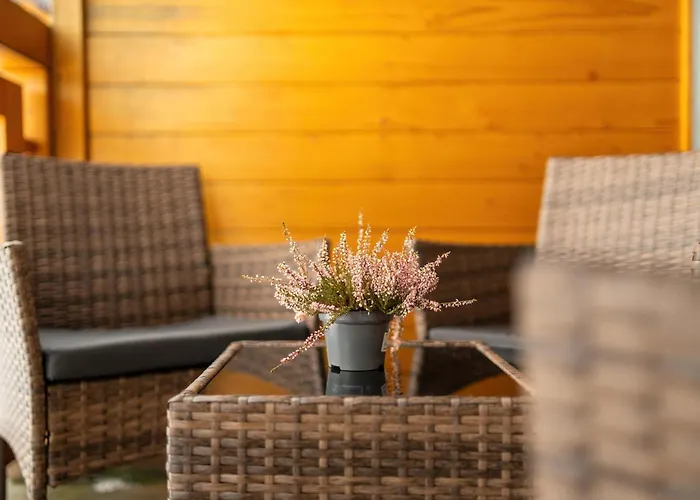 公寓 Unique With A Beautiful View And Balcony By Renters